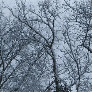 Meet your Posher, Chelsea